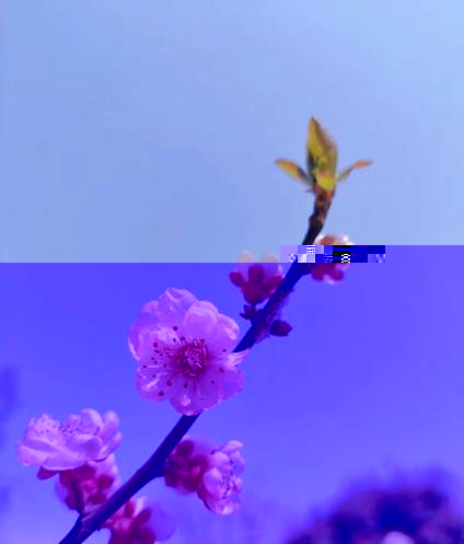 微信圖片_20230326212013