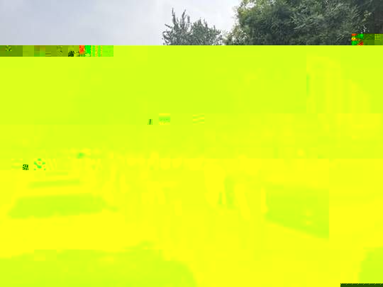 10537330e767bbe4a61561e6f3563df